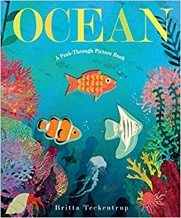 Ocean: A Peek-Through Picture Book