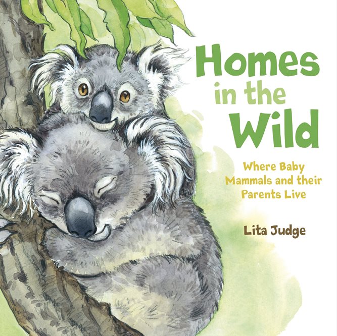 Homes in the Wild: Where Baby Animals and Their Parents Live