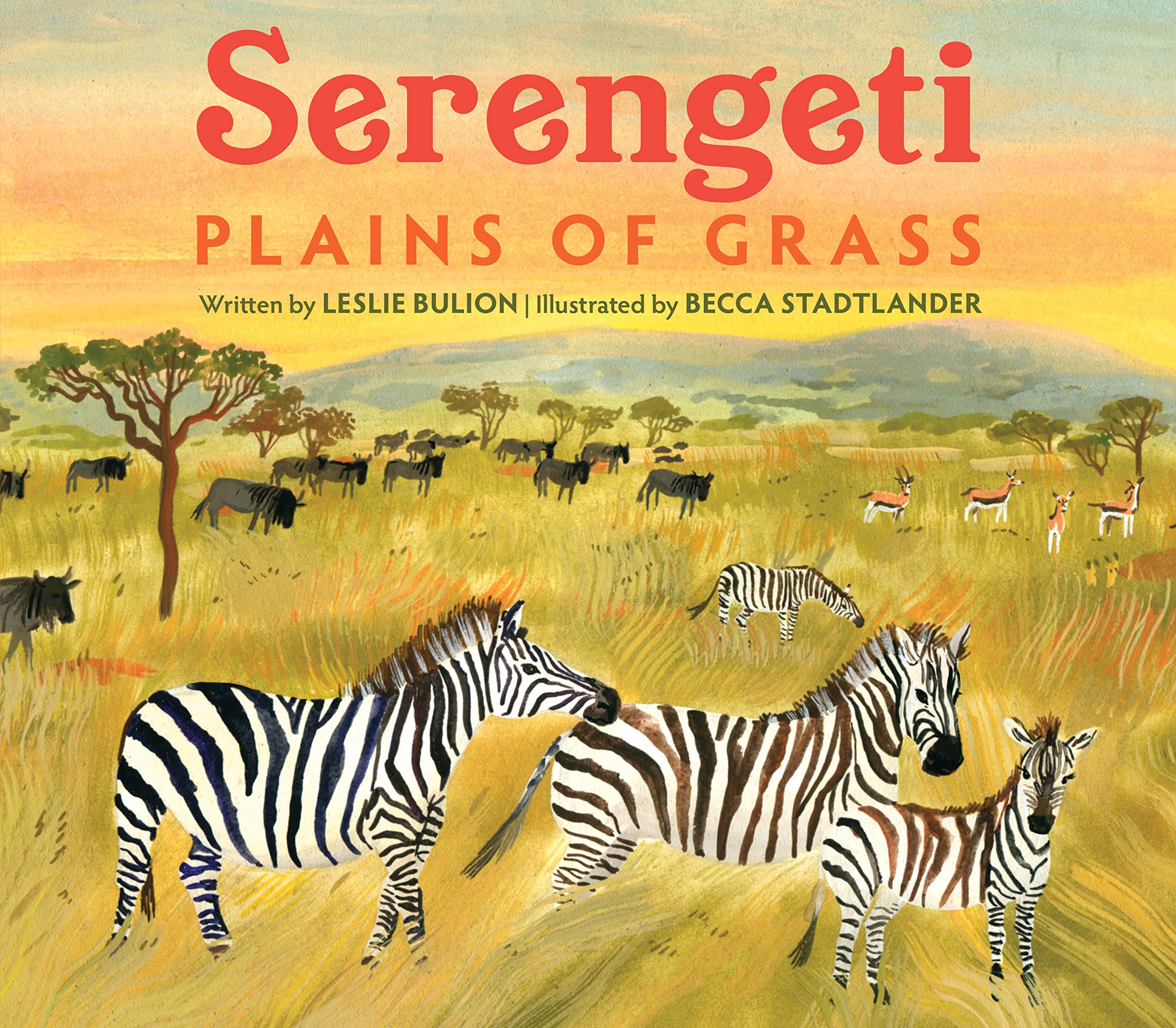 Serengeti: Plains of Grass