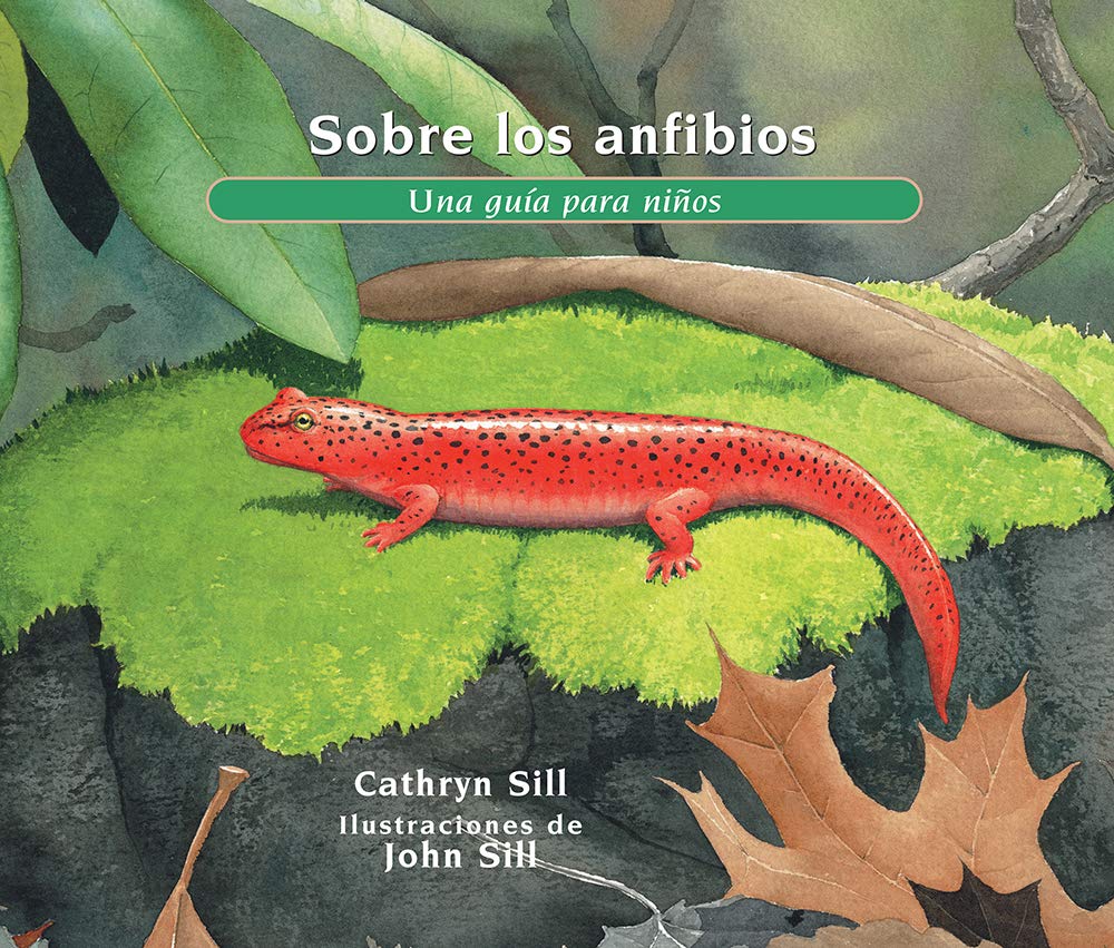 Sobre los anfibios: Una guía para niños