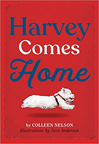 Harvey Comes Home