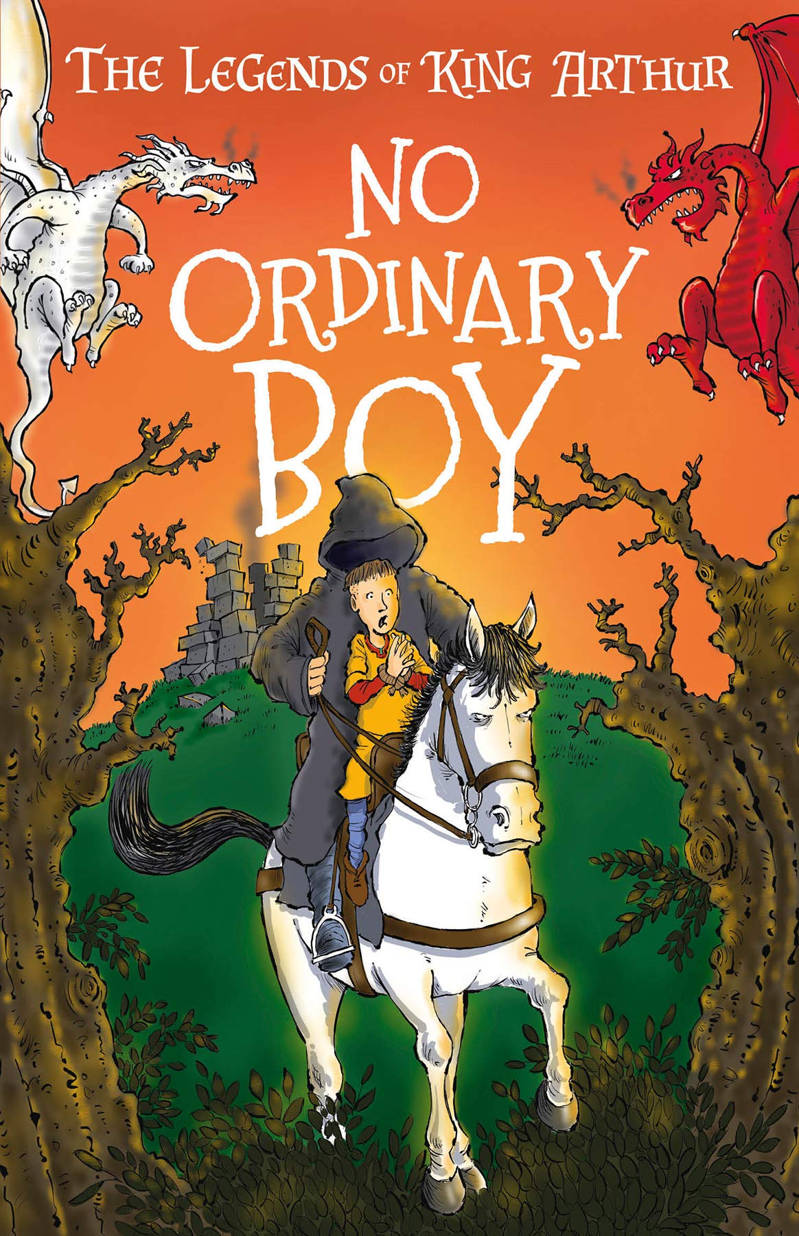 No Ordinary Boy