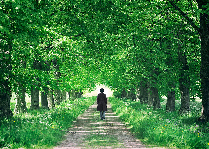 Take to the Woods (Your Brain—and Students—Will Thank You)