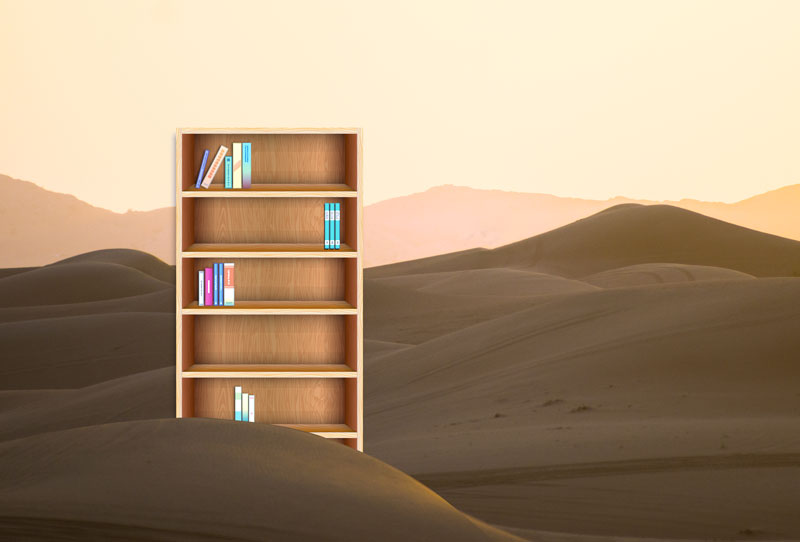  Is Your School a De Facto Book Desert? | Donalyn Miller