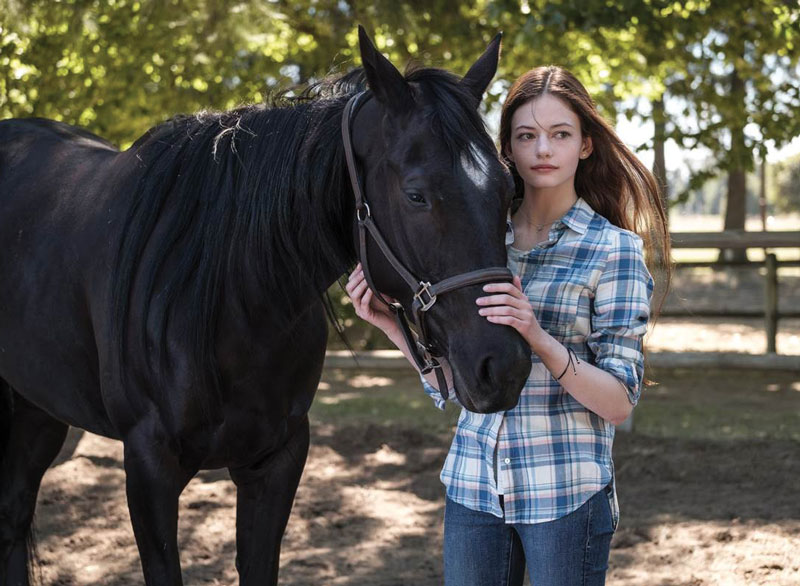 Four Middle Grade Read-Alikes for Fans of the New 'Black Beauty' on Disney+