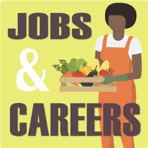 New and Old Careers | Jobs and Careers Series Nonfiction