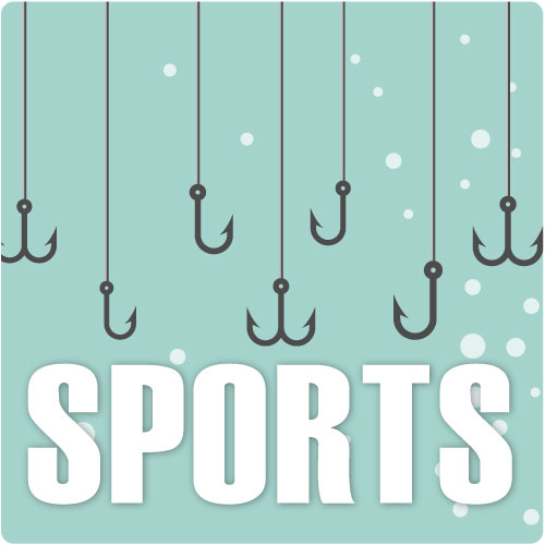 Having a Ball! | Sports Series Nonfiction