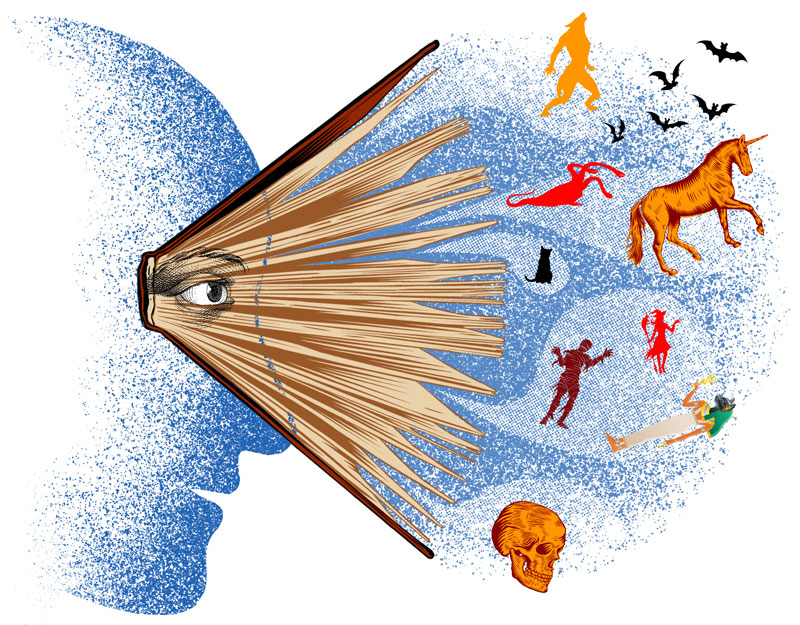 In the Comfort of Books | Editorial Series Nonfiction