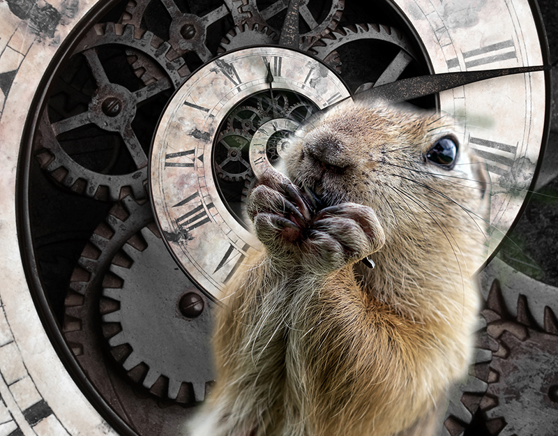 6 Middle Grade & YA Novels on Repeat for Groundhog Day