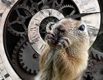 Graphic of a groundhog superimposed over a spiraling clock face.