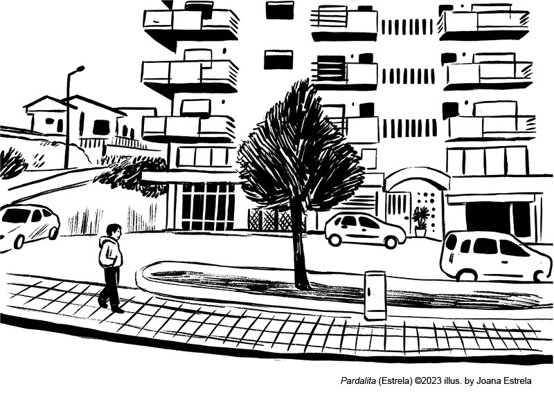 Inside image from: Pardalita (Estrela) ©2023 illus by Joana Estrela