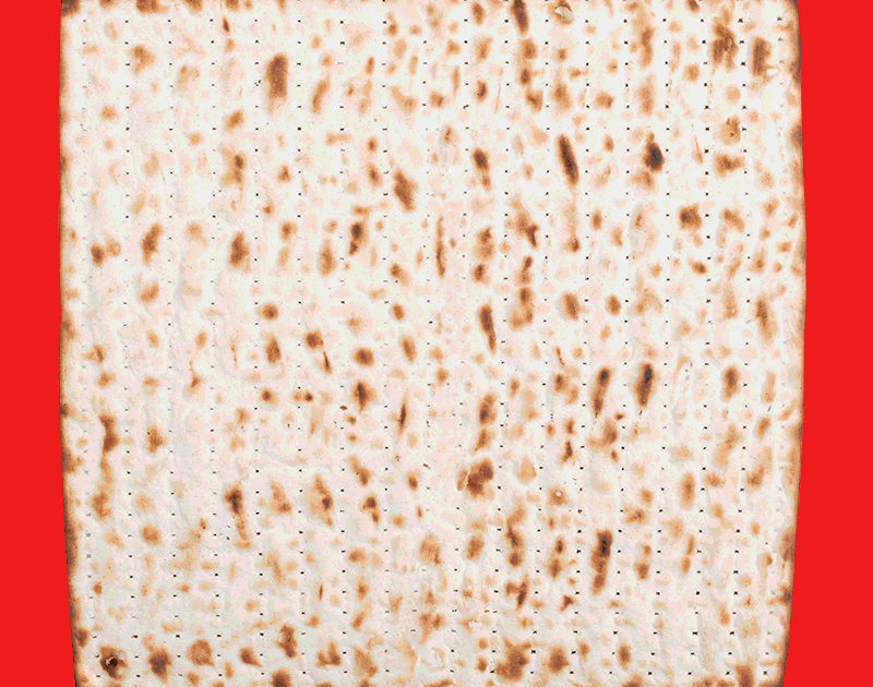 11 Picture Books to Celebrate Passover