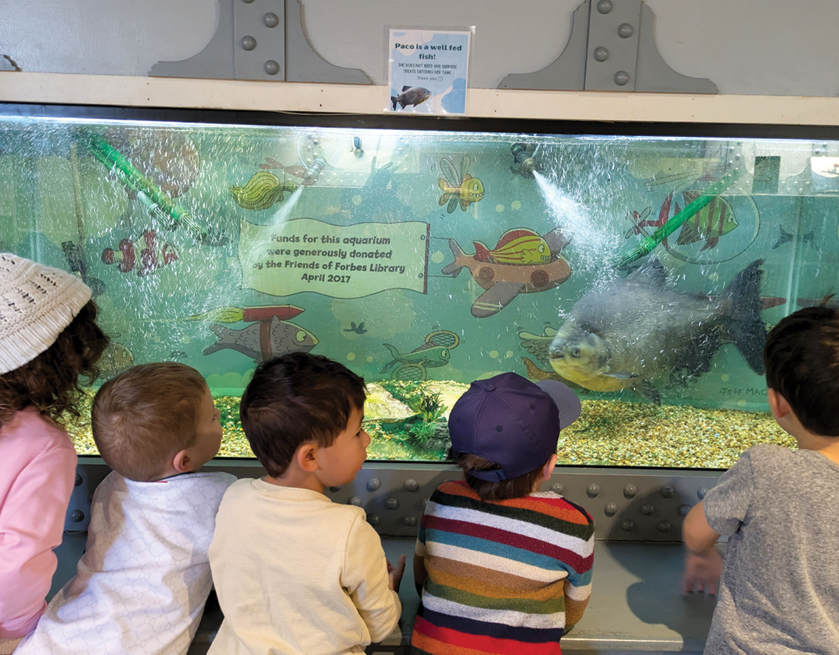 The Joy and Responsibility of Library Aquariums