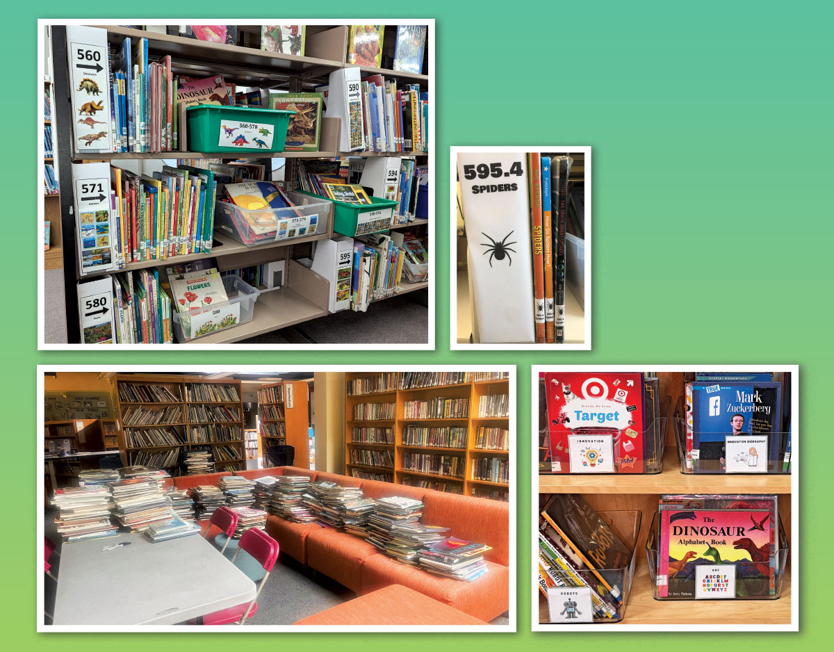 Using Personal Learning Communities To Improve Nonfiction Collections