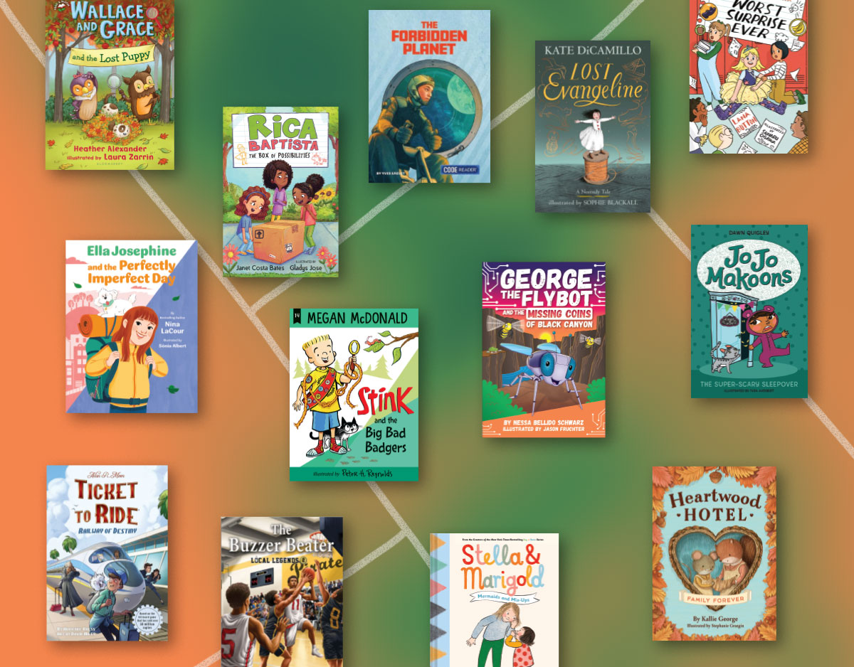 An Abundance of Diverse Stories | Chapter Book Fiction Series