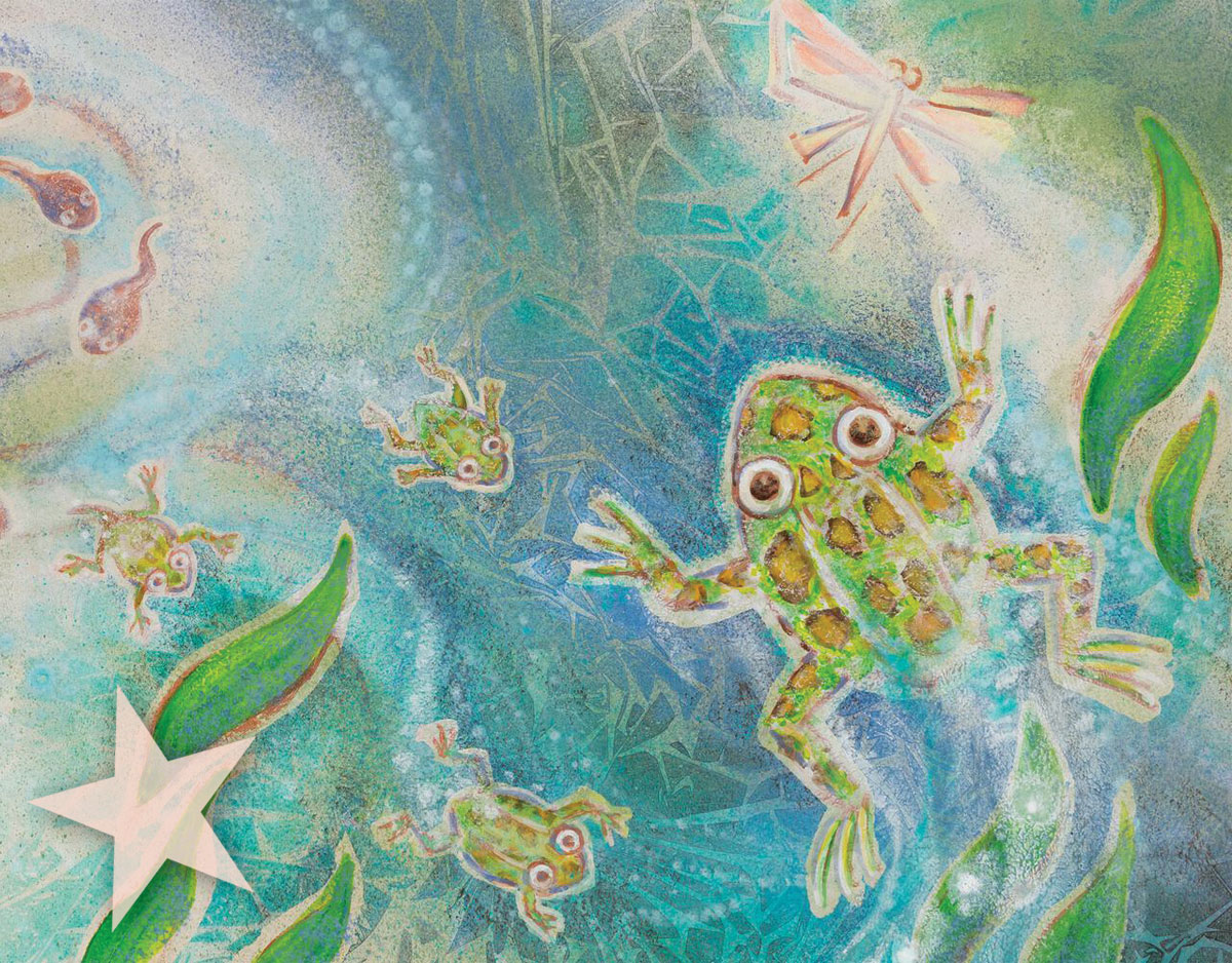 46 Choice Titles from Kate DiCamillo, Rex Ogle, and More | Starred Reviews, February 2026