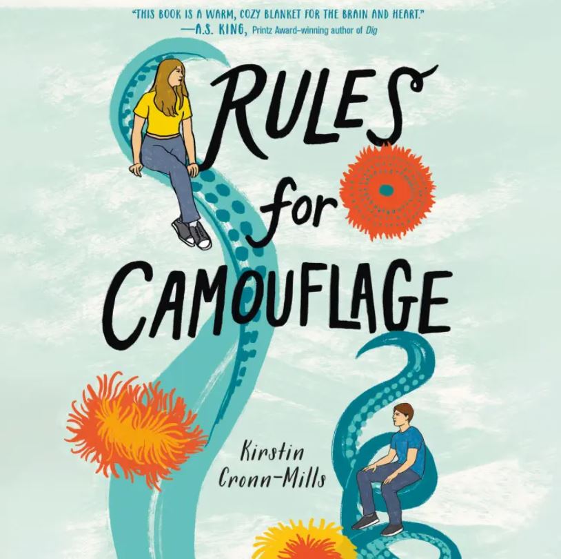 Rules for Camouflage