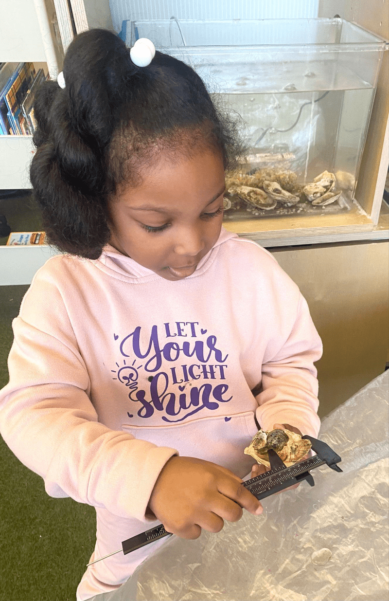 Learning About Oysters in the Library